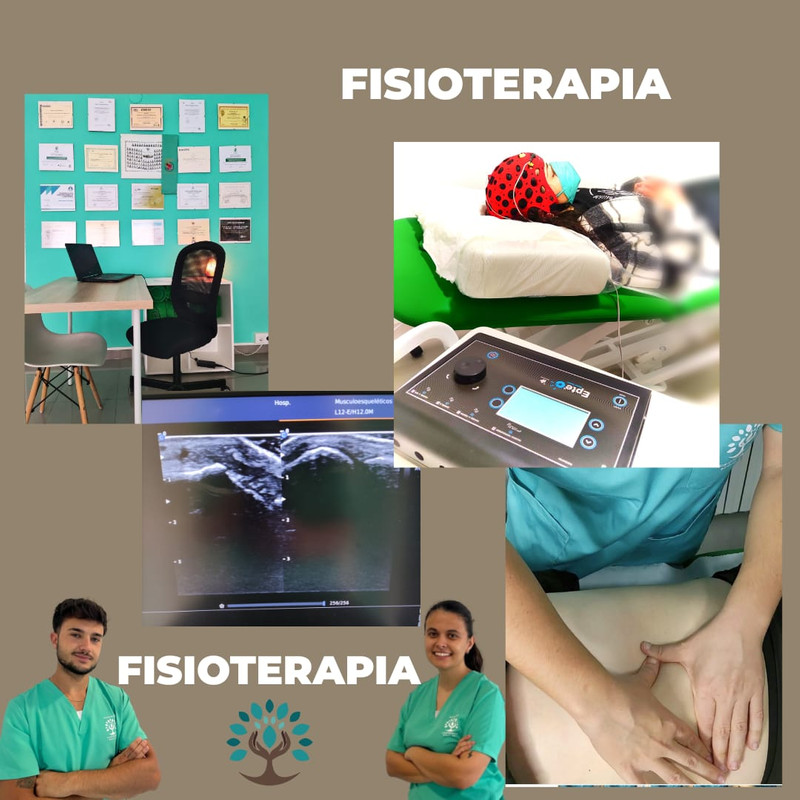 FISIOTERAPIA