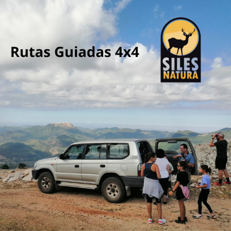 Rutas Guiadas 4x4