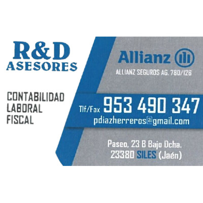 R&D Asesores