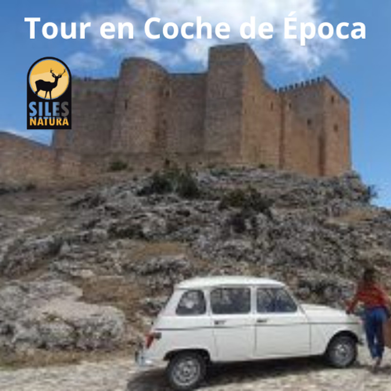 Tour en Coche de Época