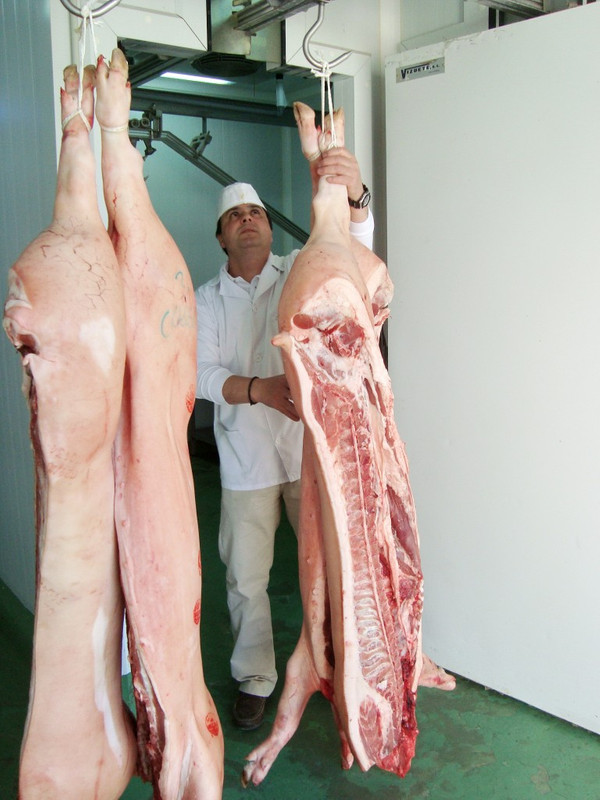 CÁRNICAS LA CELESTINA S.L. 4