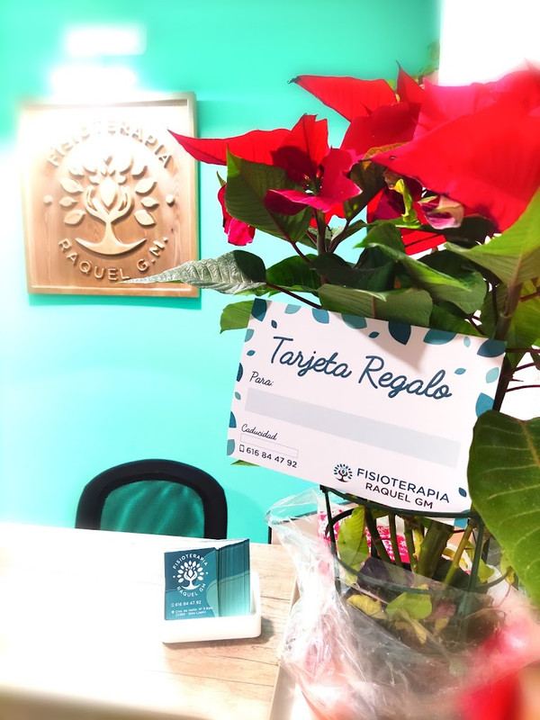 Fisioterapia Siles 5