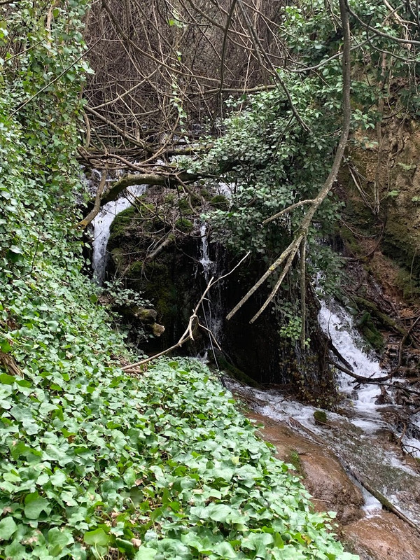 Cortijo La Ajedrea 11