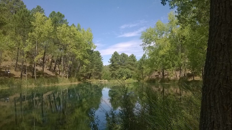 Cortijo La Ajedrea 7