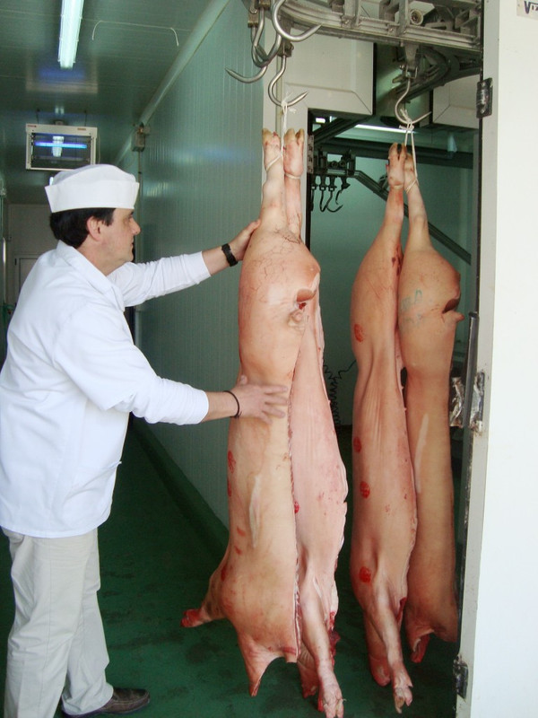 CÁRNICAS LA CELESTINA S.L. 6