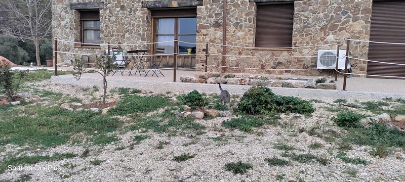 Cortijo La Ajedrea 12