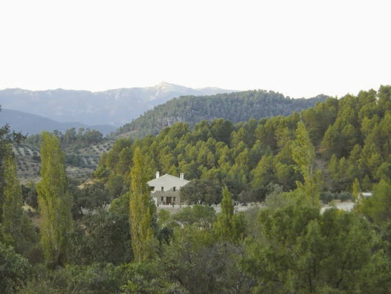 Cortijo La Ajedrea 5